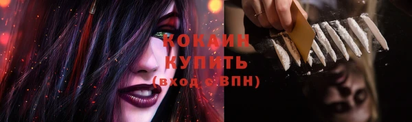 a pvp Богданович