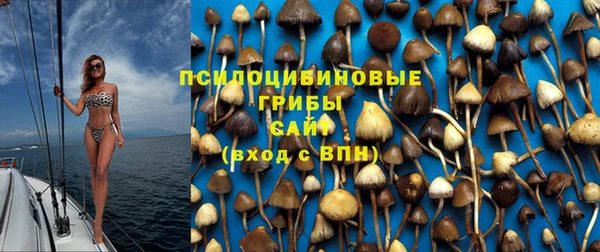 мдма Богородск