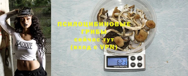 марки lsd Богородицк