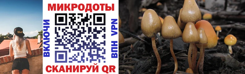 нарко площадка наркотические препараты  Трубчевск  Псилоцибиновые грибы Magic Shrooms  как найти наркотики 