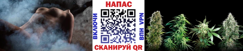 Бошки Шишки THC 21%  наркотики  Трубчевск 